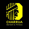 Imagem de perfil do parceiro Charrua Barbell e Fitness Matriz