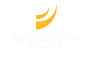 Imagem de perfil do parceiro Rhino gym