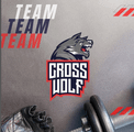 Imagem de perfil do parceiro CrossWolf