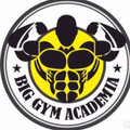 Imagem de perfil do parceiro Big Gym Academia