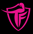 Imagem de perfil do parceiro Academia TeamFlá