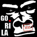 Imagen de perfil del partner Gorila Bulder
