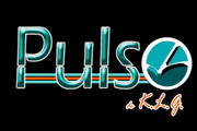 Imagen de perfil del partner Pulso de KLG