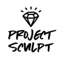 Project Sculpt Partner profile image