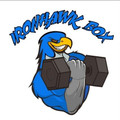 Imagen de perfil del partner IronHawk Box