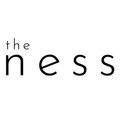 The Ness Partner profile image