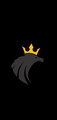 Imagem de perfil do parceiro CT Black Eagle