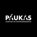 Imagen de perfil del partner Pâukas Centro Entrenamiento