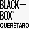 Imagen de perfil del partner Black Box Querétaro