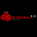 Imagem de perfil do parceiro Black Bull Fit