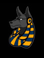 Imagem de perfil do parceiro CF Anubis---