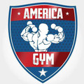 Imagem de perfil do parceiro America Gym
