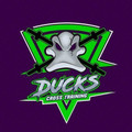 Imagem de perfil do parceiro Ducks Cross Training