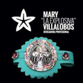 Imagen de perfil del partner Explosiva's Boxing Club