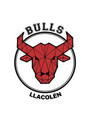 Imagen de perfil del partner Bulls Health Performance Llacolen