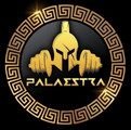 Imagem de perfil do parceiro Academia Palaestra