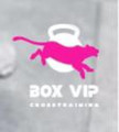 Imagem de perfil do parceiro Box Vip Cross Crosstraining