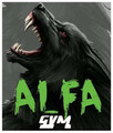 Imagen de perfil del partner Alfa Gym