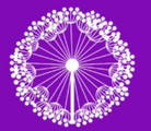 Imagem de perfil do parceiro Mandira Pilates