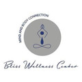 Imagen de perfil del partner Bliss Wellness Center