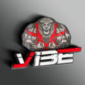 Imagem de perfil do parceiro Vibe Academia Lagoa da Prata