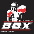 Imagen de perfil del partner La Escuela de Box Lomas Verdes Oaxaquita Box