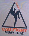 Imagem de perfil do parceiro STUDIO CAU FIGHT