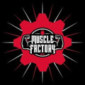 Imagen de perfil del partner Muscle Factory