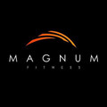 Imagem de perfil do parceiro Magnum Fitness