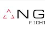 Imagen de perfil del partner Triangle Fight Studio