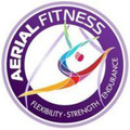 Aerial Fitness Partner profile image