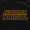 Imagen de perfil del partner Academia Nahual Sede Castellanos