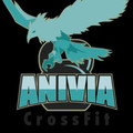Imagen de perfil del partner Crossfit Anivia