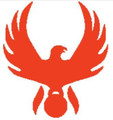 The Phoenix Effect Partner profile image