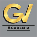 Imagem de perfil do parceiro GV Academia