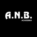 Imagem de perfil do parceiro ANB Academia