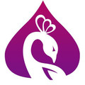 L.A. Bellydance Academy Partner profile image