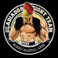Imagem de perfil do parceiro Gladiadores Fight Team