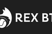 Imagem de perfil do parceiro Rex Beach Tennis