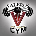 Imagen de perfil del partner Valeros Gym