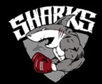 Team Sharks Partner Profilbild