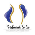 Imagen de perfil del partner Pridavat Silu Interlomas