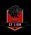 Imagem de perfil do parceiro CF Lion