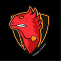 Imagen de perfil del partner Iguana Fitness