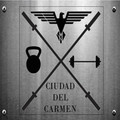 Imagen de perfil del partner Crossfit Ciudad del Carmen