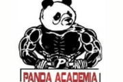 Imagem de perfil do parceiro Panda Academia