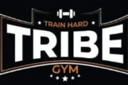 Imagem de perfil do parceiro Tribe Gym