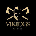 Imagem de perfil do parceiro Cross Vikings Palhoça