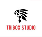 Imagem de perfil do parceiro Tribox Studio