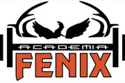 Imagem de perfil do parceiro Fenix Academia